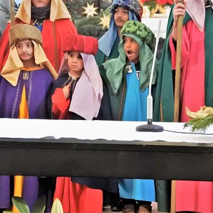 Sternsinger