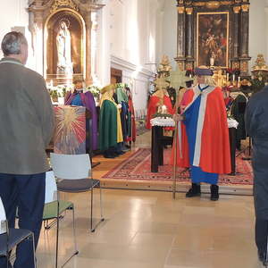 Sternsinger